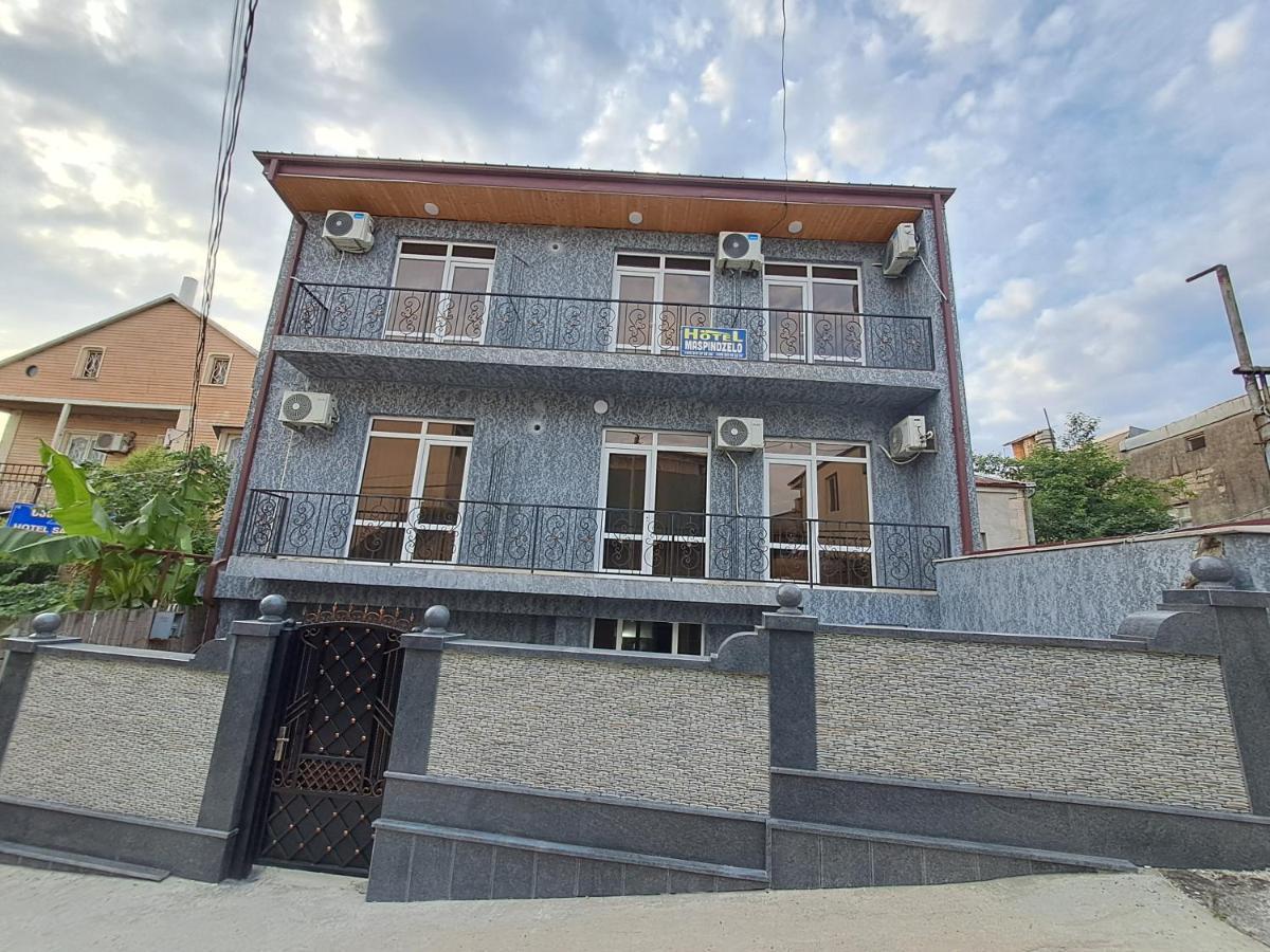 Hotel Maspindzelo Kutaisi Ngoại thất bức ảnh